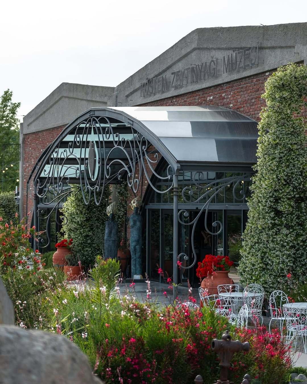 A Day in Urla: Beneath the Olive Trees