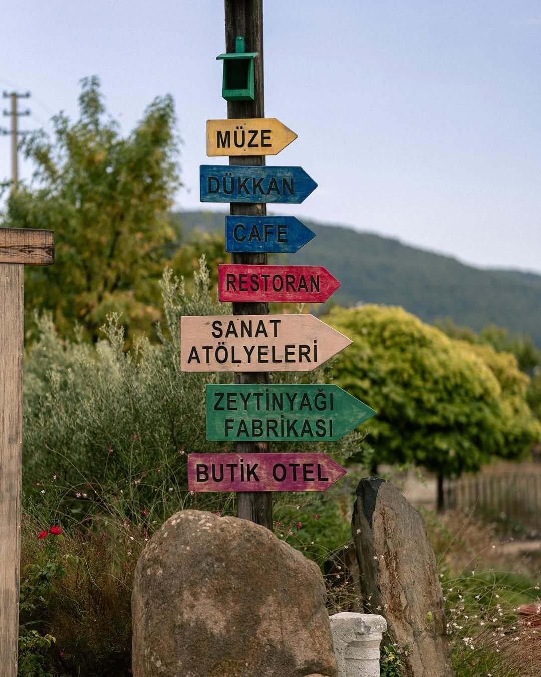 Kültürle Beslenen Bir Tatil: Urla’nın Kalbinde Bir Deneyim